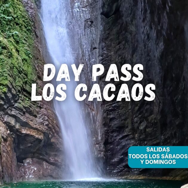 Los Cacaos